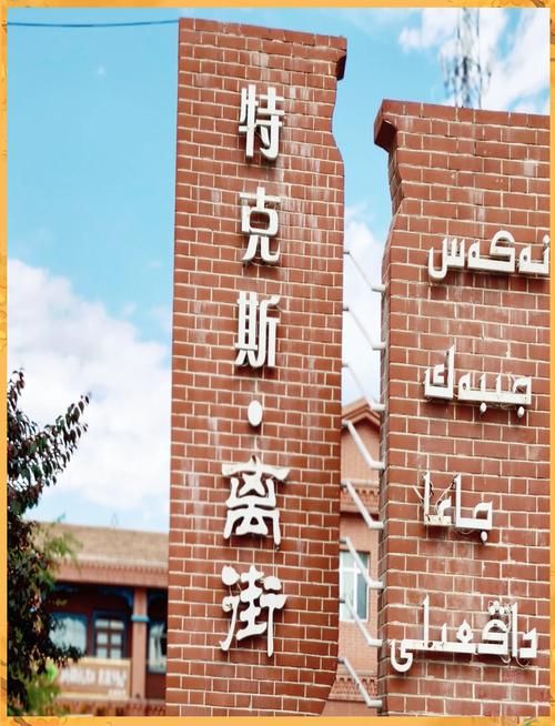 疫情防控中风险地区!新疆维吾尔自治区伊犁哈萨克自治州特克斯县的简单介绍