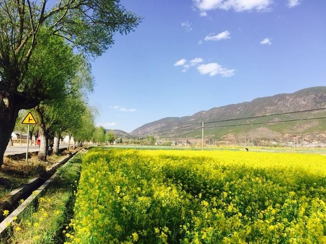 【云南省大理白族自治州剑川县疫情怎么查风险地区_大理剑川刚刚发生的事】