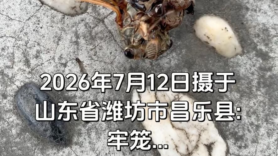 近期山东省潍坊市昌乐县最新消息疫情(潍坊昌乐最近发生新闻)
