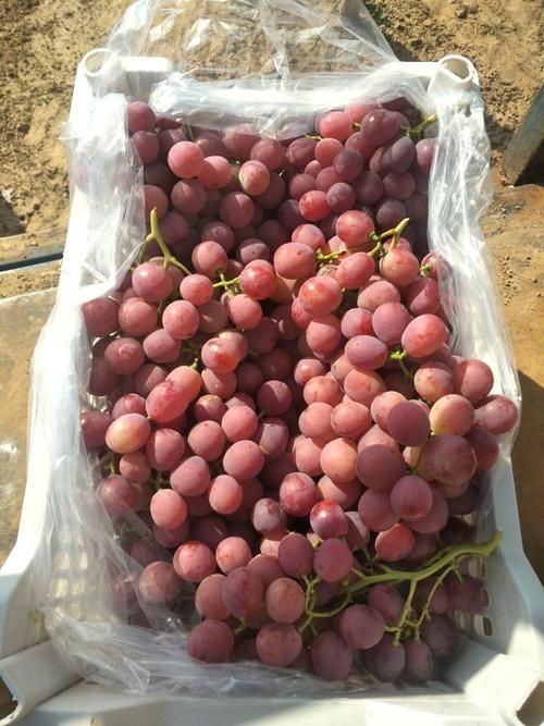 河北省张家口市涿鹿县足不出户标准最新公布/河北张家口涿鹿县穷吗