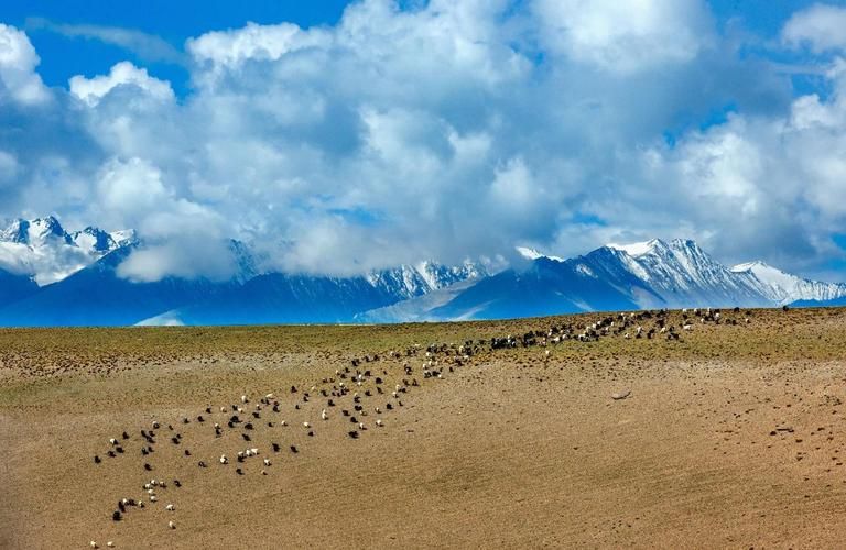  西藏自治区阿里地区措勤县几个地区有疫情发生:电线为什么是两根