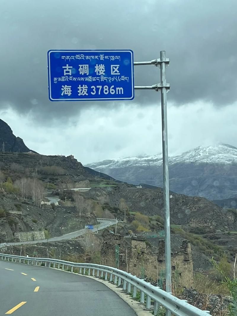 西藏自治区山南市洛扎县累计报告核酸阳性22例(西藏山南洛扎县海拔多高)