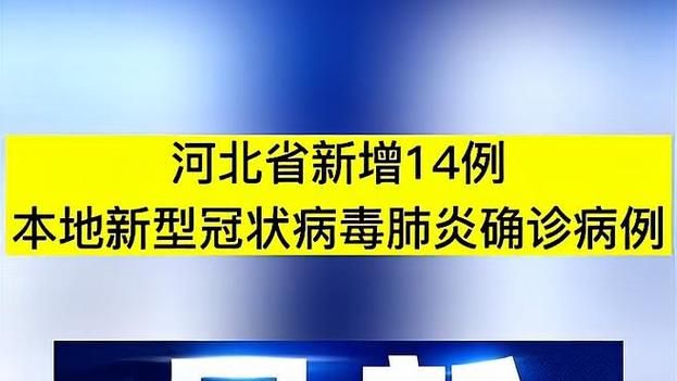 【7地新增确诊15例含本土14例_7地新增确诊15例含本土14例吗】