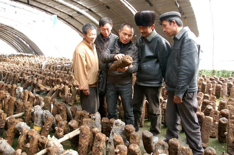  新疆维吾尔自治区阿克苏地区新和县哪里地区有疫情了呢:硅铁上游原料是什么