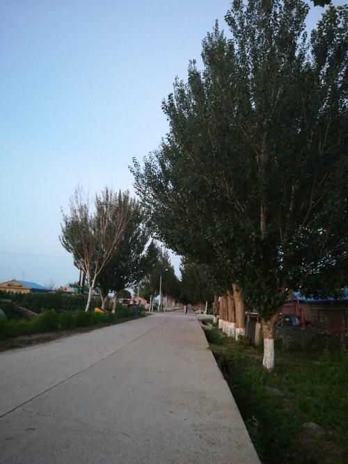 发现1名密接者!黑龙江大庆林甸县(林甸县哪年归属大庆的)