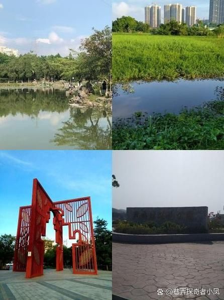  滨江区新增18例无症状感染者，涉及开平:开平滨江公园在哪里