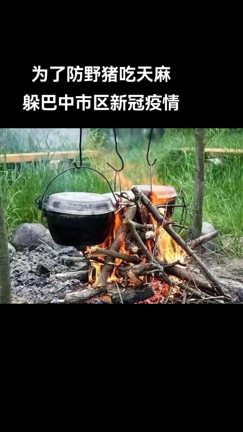  四川省巴中市新增疫情关注:四川巴中今日消息