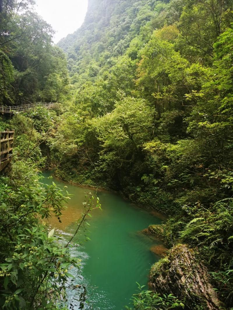 湖北恩施土家族苗族自治州鹤峰县新增疫情最新(恩施土家族苗族自治州天气鹤峰)