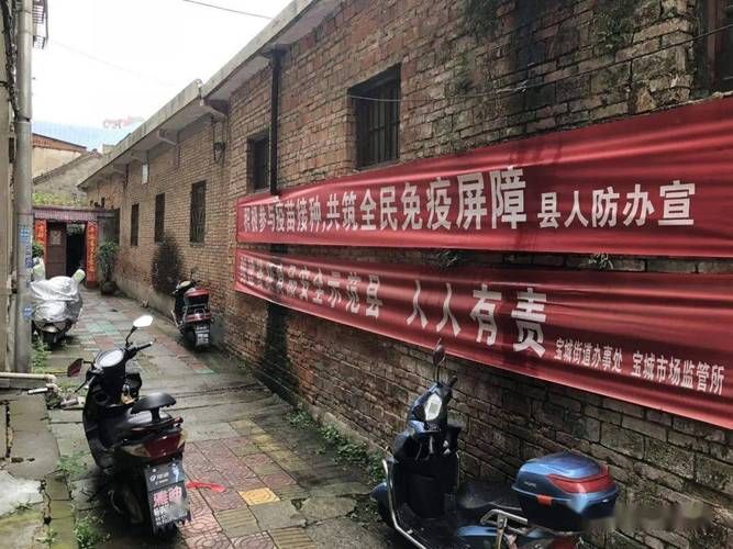 【一张图看懂昨日罗山县疫情_罗山县新闻网最新消息】