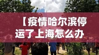 【31省今冬最新疫情数据_31省新增最新消息】