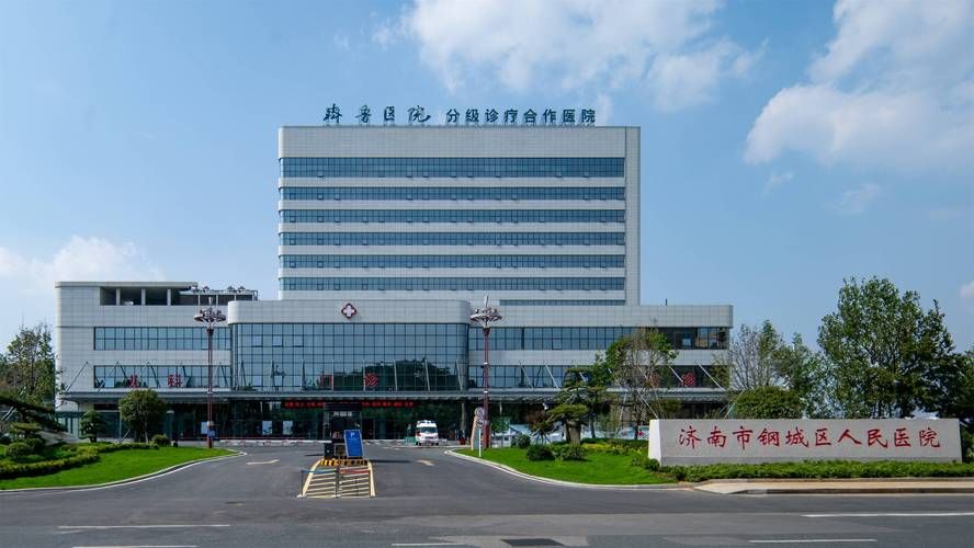 【山东济南钢城区为何新增疫情_济南钢城区今天多大】