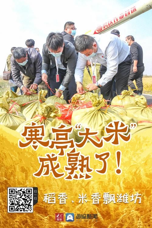 近期疫情最新通报山东省潍坊市寒亭区_寒亭疾控最新消息今天