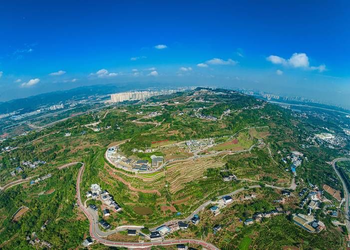 【一张图看懂近7天重庆市大渡口区疫情_大渡口最新变化】
