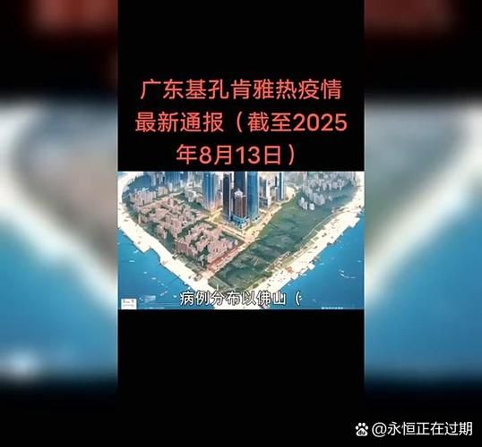 近4天广东省湛江市最新消息疫情(近4天广东省湛江市最新消息疫情如何)