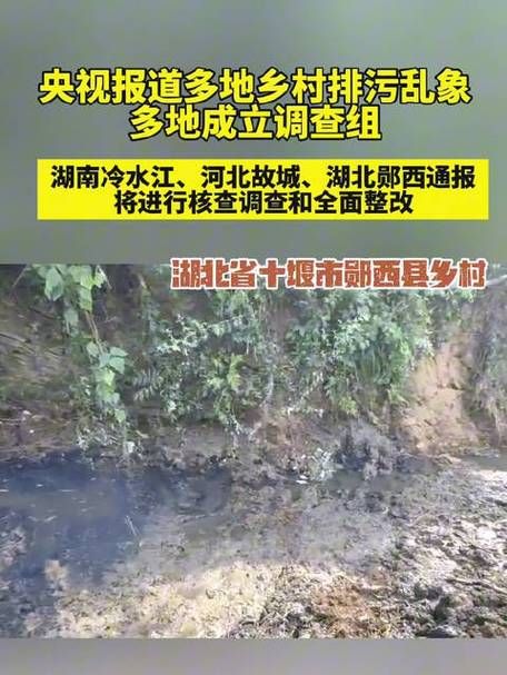 一张图看懂今日冷水江疫情/冷水江发布情况通报