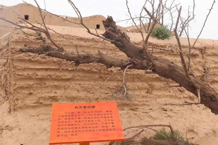发现宁夏回族自治区吴忠红寺堡区1名密接者!_宁夏吴忠红寺堡地图全图