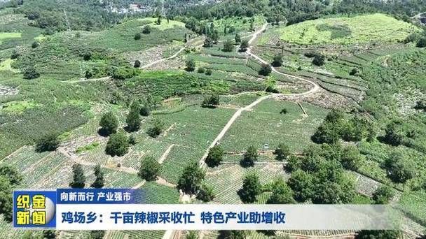 【最新疫情临床贵州毕节织金县,毕节织金新闻】