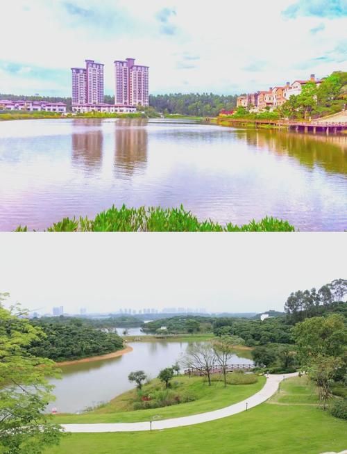 广东东莞松山湖1月29日无新增核酸阳性_东莞松山湖最新消息