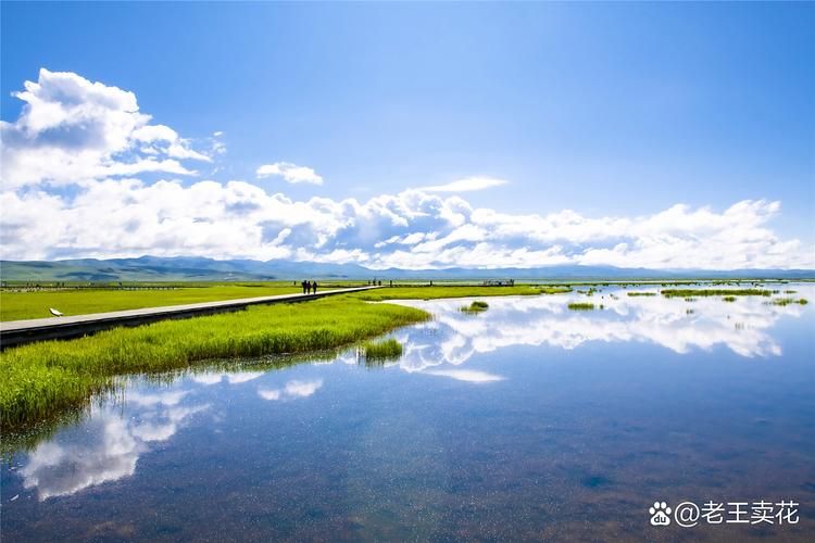 查找四川阿坝藏族羌族自治州红原县最新疫情/红原属于阿坝哪里