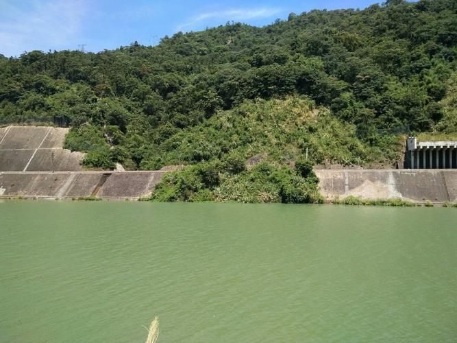 福建省三明市三元区静默标准最新公布/三明市区三元区三元路