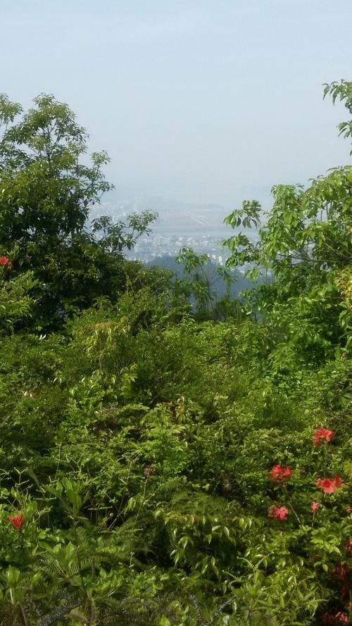 疫情防控中风险地区!吉水县/吉水县最新消息