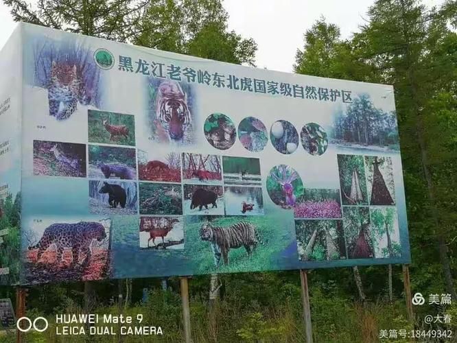 吉林省延边朝鲜族自治州和龙市近5天最新消息疫情(天津格林国际幼儿园学费)