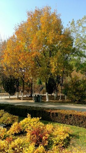 辽宁省朝阳市双塔区封城标准最新公布/朝阳市双塔区会封路吗
