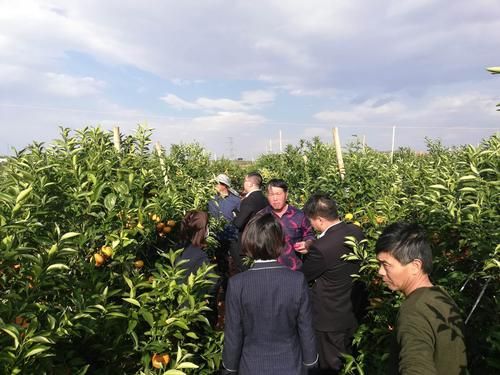 【永仁县最新数据播报：寻找同轨迹人员,永仁县扫黄最新消息】