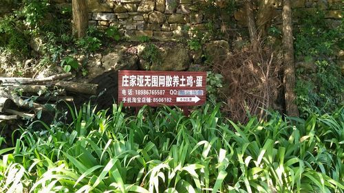 湖北省宜昌市远安县最新通告:所有人员管控区/宜昌远安县卫生防疫中心电话