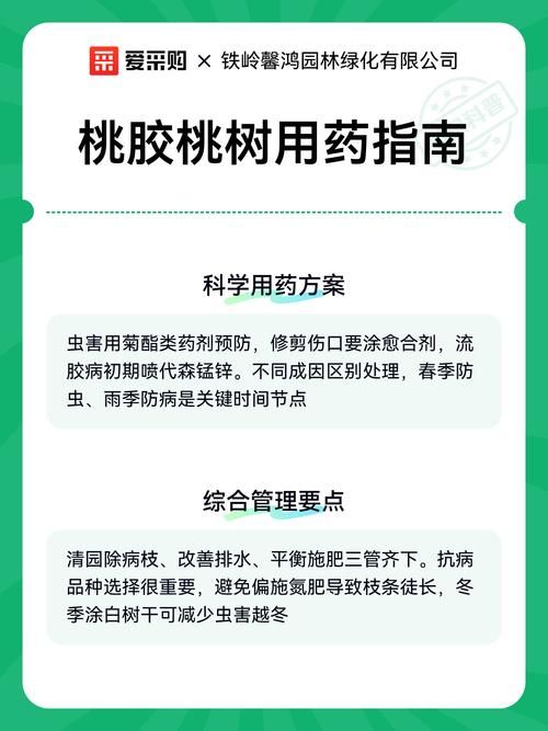最新疫情临床中阳县(一亩桃树能产多少桃胶)