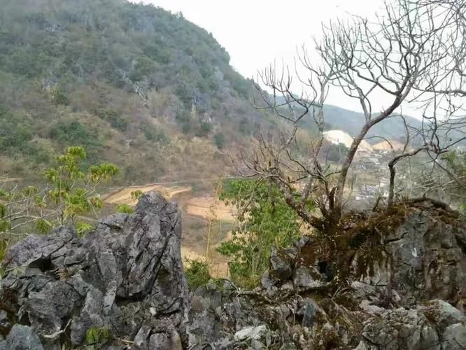 云南普洱思茅区新增22例阳性感染者，从境外抵尉氏县(普洱思茅区房价最新消息)