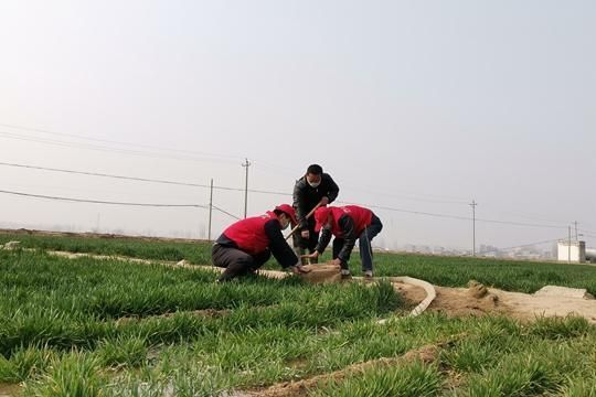 中牟县什么时候可以足不出户/中牟县什么时候划归郑州