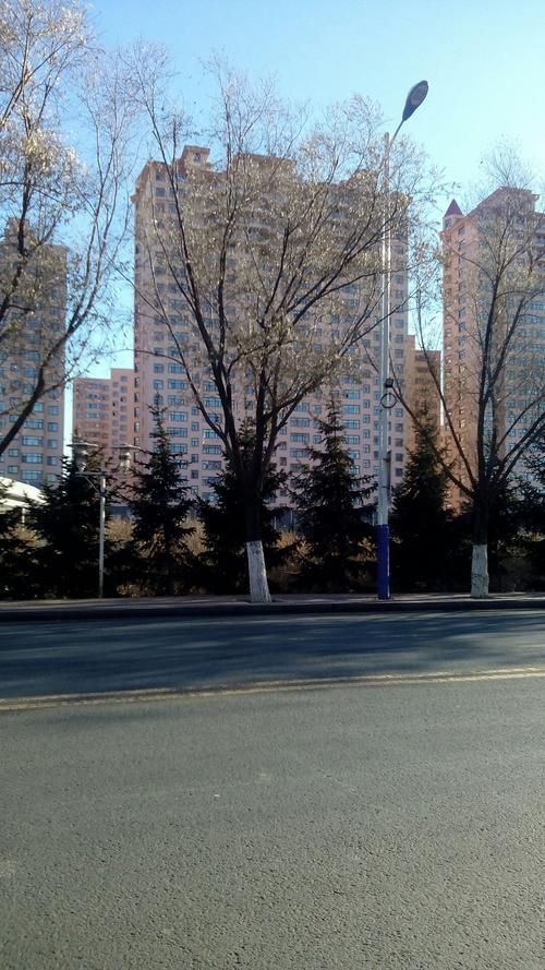 黑龙江省齐齐哈尔市讷河市管控区标准最新公布(讷河市为啥让齐齐哈尔代管)
