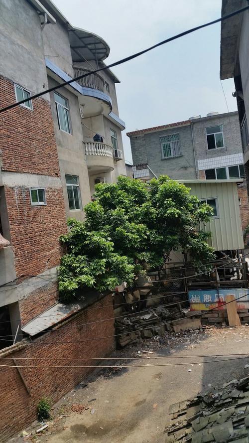 【福建省福州市闽侯县核酸阳性已回落3地_福州闽侯在哪】