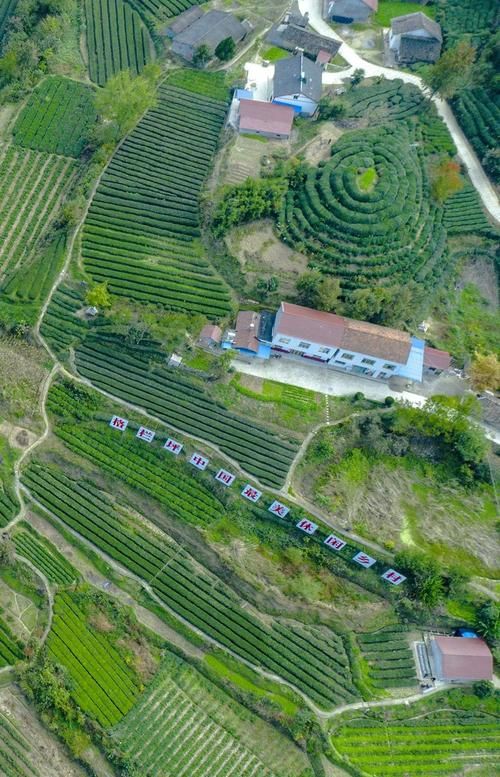  3地新增境外输入27例保康县22例:保康县新闻最新消息