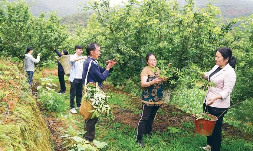 【大姚县最新疫情关注_大姚发布】