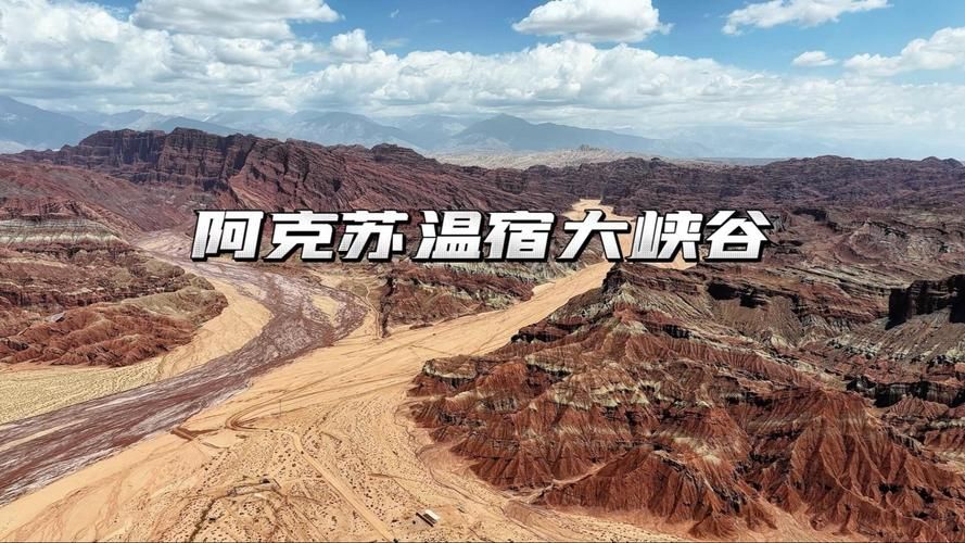 查找最新疫情新疆维吾尔自治区阿克苏地区温宿县/阿克苏地区温宿县政府网
