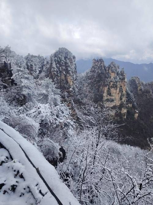专家:张家界每年或现多个感染高峰_张家界今天
