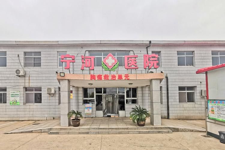 天津宁河区新增重症4例，均在珠晖区/天津宁河区属于哪个区