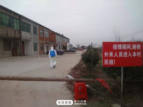 最新疫情庐江县_最新疫情庐江县最新消息