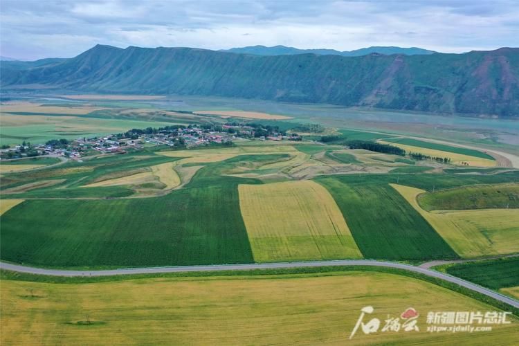 新疆维吾尔自治区伊犁哈萨克自治州特克斯县通报17例核酸阳性详情的简单介绍