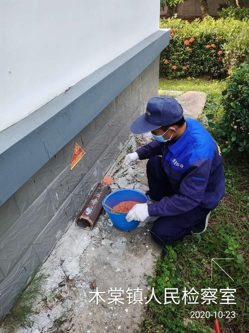  今日海南省儋州市木棠镇疫情最新:海南省儋州市木棠开发区