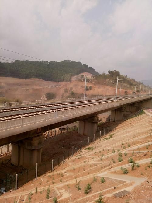 【云南省文山壮族苗族自治州富宁县疫情风险地区划分_文山富宁是哪里】