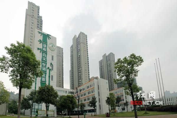 开福区今冬重症轨迹公布(开福区耂)