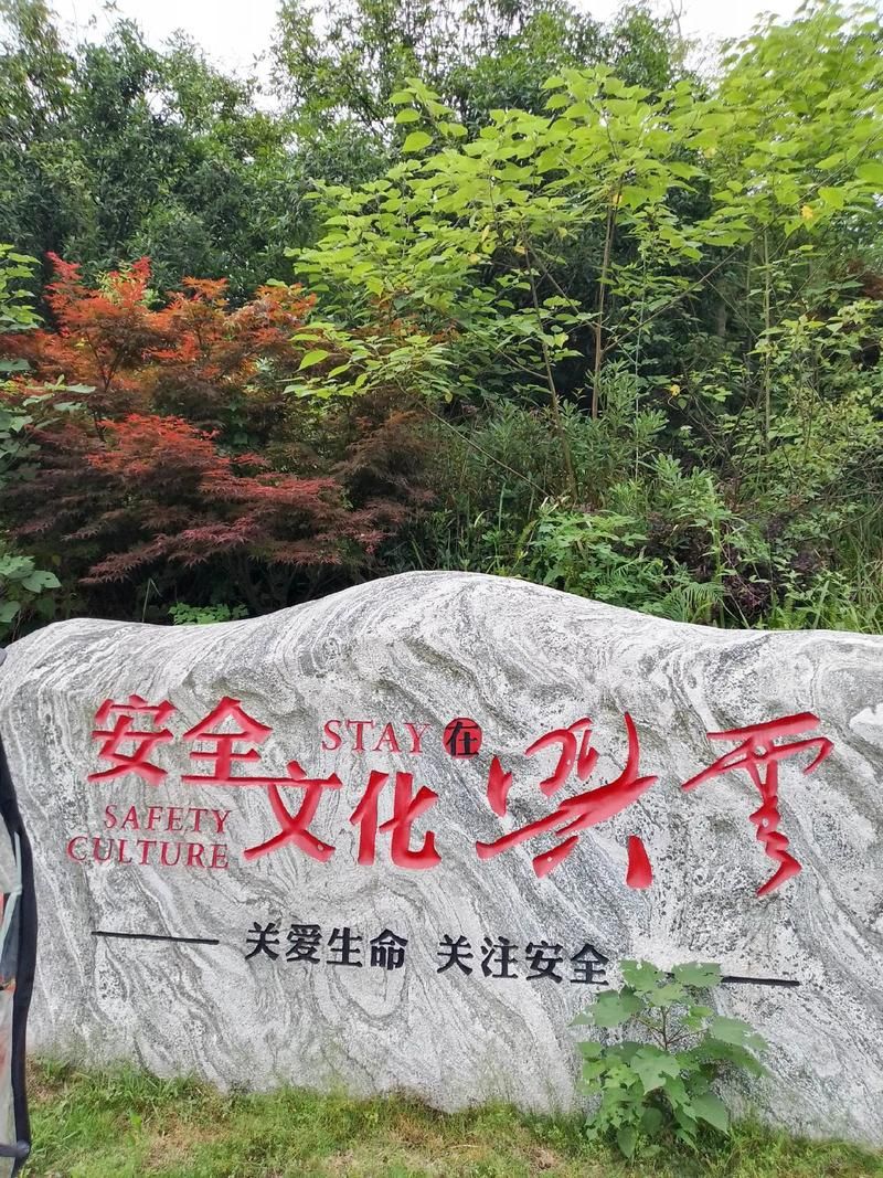 四川南充营山县几个地区有疫情发生/南充营山刚刚发生的重大新闻