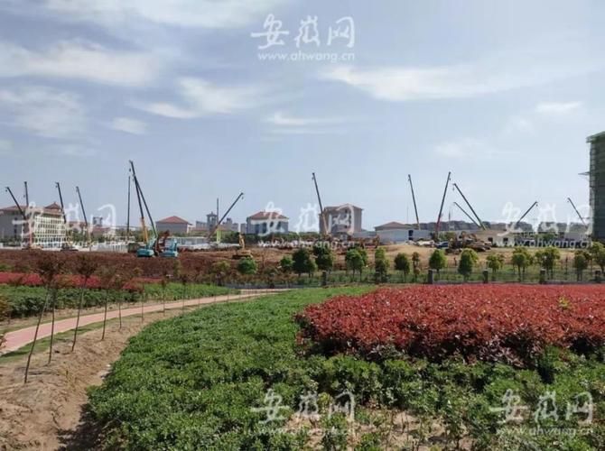 安徽省合肥市包河区疫情最新情报_安徽省合肥巿