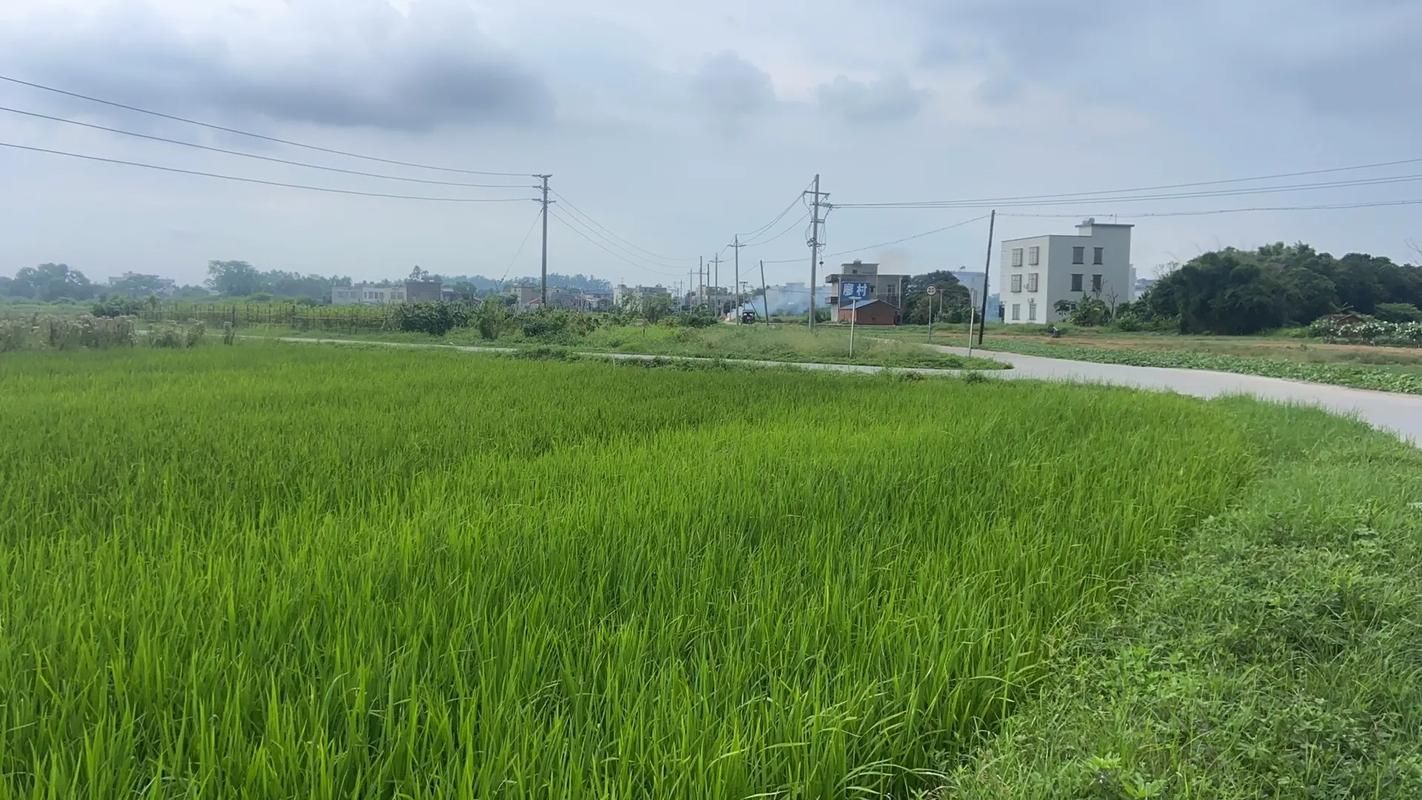 【广东省湛江市廉江市最新疫情临床,湛江专区廉江县】