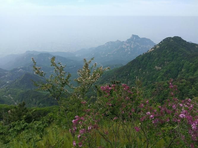 【泰山区首例境外输入来源公布,泰山引援外援消息】