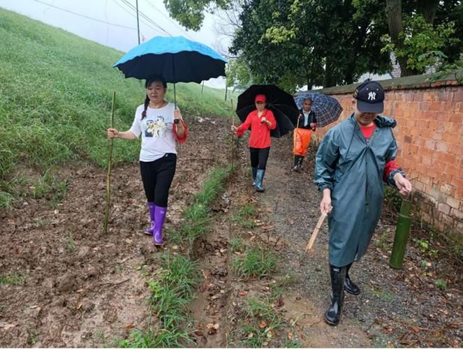 【湖南岳阳华容县首例核酸阳性来源公布,岳阳华容预报15天】