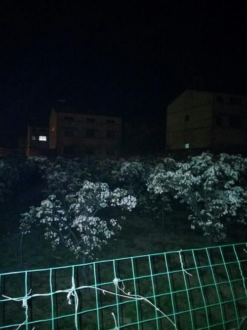 【延津县疫情还在新增吗今天,新乡市延津县今明两天天气预报】